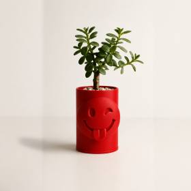 3D Baskı Emoji Planter - Göz Kırpan Yüzlü Sukulent Saksısı-Kırmızı