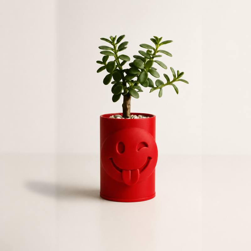 3D Baskı Emoji Planter - Göz Kırpan Yüzlü Sukulent Saksısı-Kırmızı