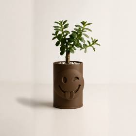 3D Baskı Emoji Planter - Göz Kırpan Yüzlü Sukulent Saksısı-Kahverengi