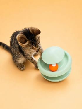 3D Baskı İki Toplu Kedi Oyuncağı Kule Etkileşimli Kedi Oyun Kulesi Toplu Parkur - Yeşil