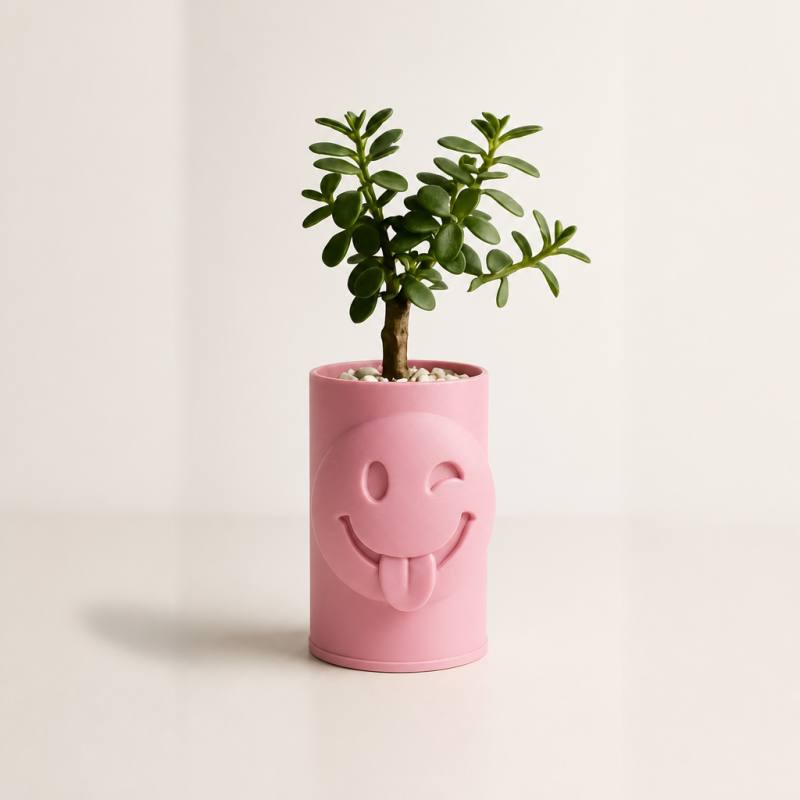 3D Baskı Emoji Planter - Göz Kırpan Yüzlü Sukulent Saksısı-Pembe