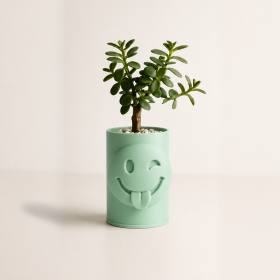 3D Baskı Emoji Planter - Göz Kırpan Yüzlü Sukulent Saksısı-Mint