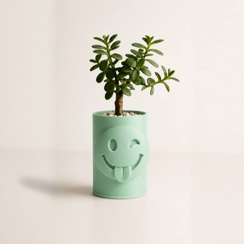 3D Baskı Emoji Planter - Göz Kırpan Yüzlü Sukulent Saksısı-Mint