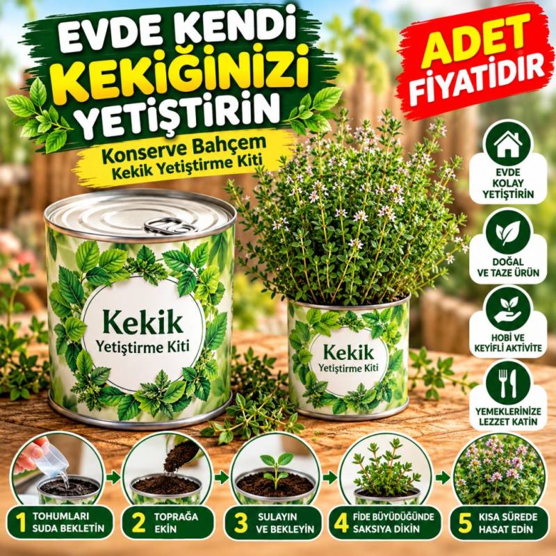 Evde Konservede Kekik Dağ Kekiği Yetiştirme Kiti (adet fiyatıdır)