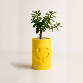 3D Baskı Emoji Planter - Göz Kırpan Yüzlü Sukulent Saksısı-Sarı