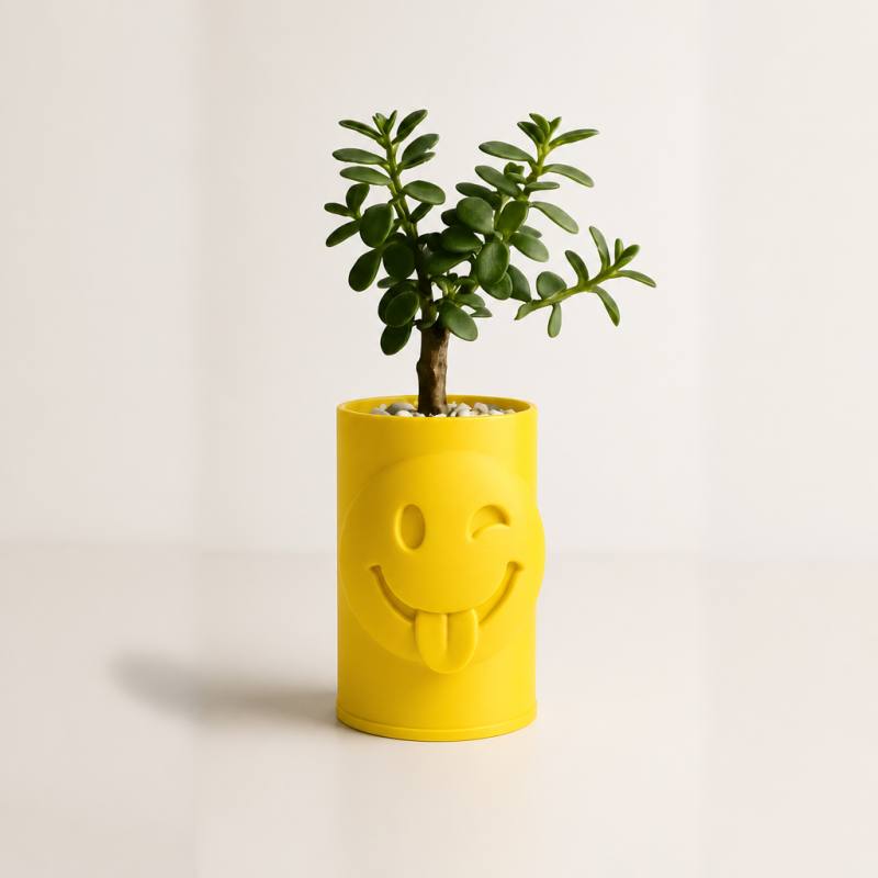 3D Baskı Emoji Planter - Göz Kırpan Yüzlü Sukulent Saksısı-Sarı