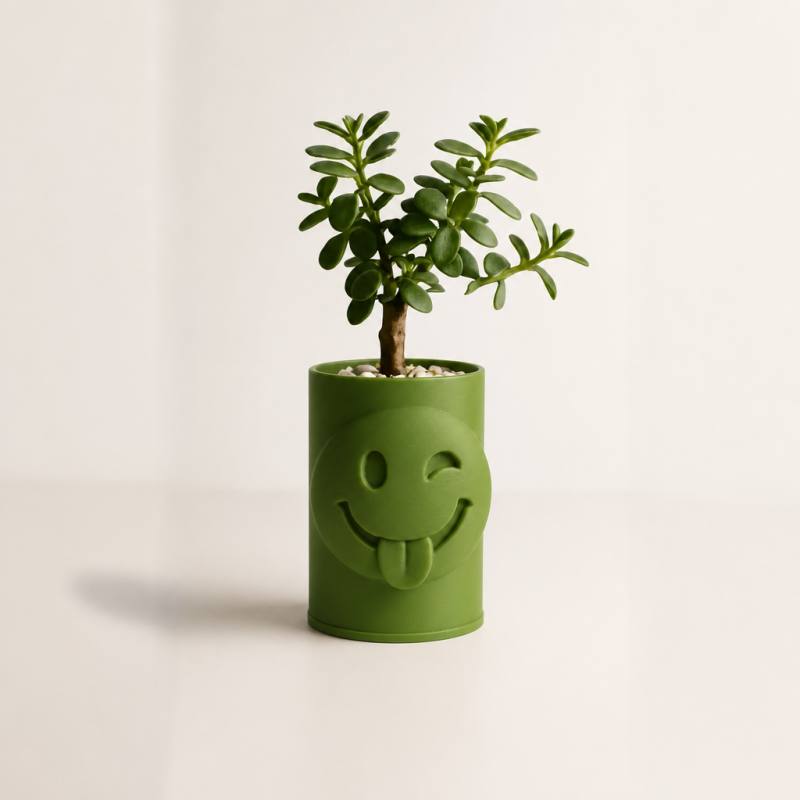 3D Baskı Emoji Planter - Göz Kırpan Yüzlü Sukulent Saksısı-Yeşil