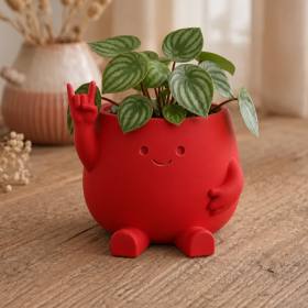 3D Baskı Smiley Face Planter - Gülümseyen Karakterli Saksı-Kırmızı
