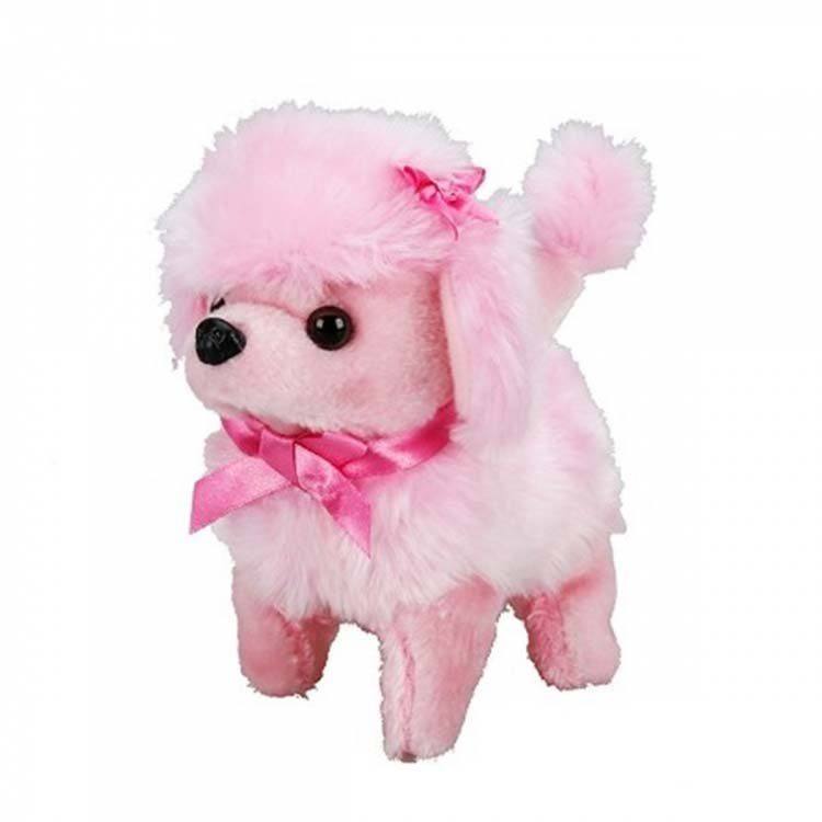 NessiWorldman Sevimli Köpek Poodle