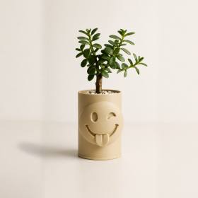 3D Baskı Emoji Planter - Göz Kırpan Yüzlü Sukulent Saksısı-Bej