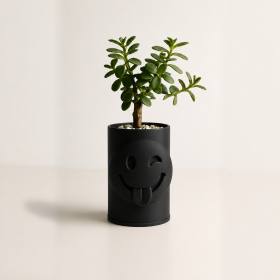 3D Baskı Emoji Planter - Göz Kırpan Yüzlü Sukulent Saksısı-Siyah