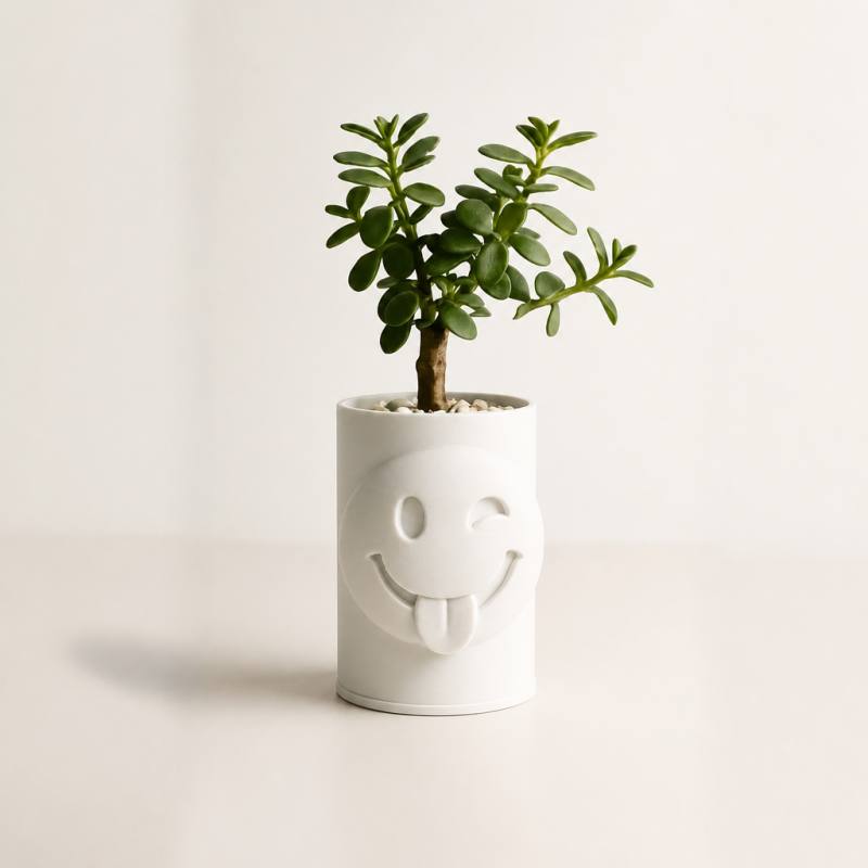 3D Baskı Emoji Planter - Göz Kırpan Yüzlü Sukulent Saksısı-Beyaz