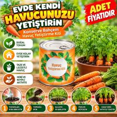 Konserve Bahçem Evde Konservede Havuç Yetiştirme Büyütme Kiti