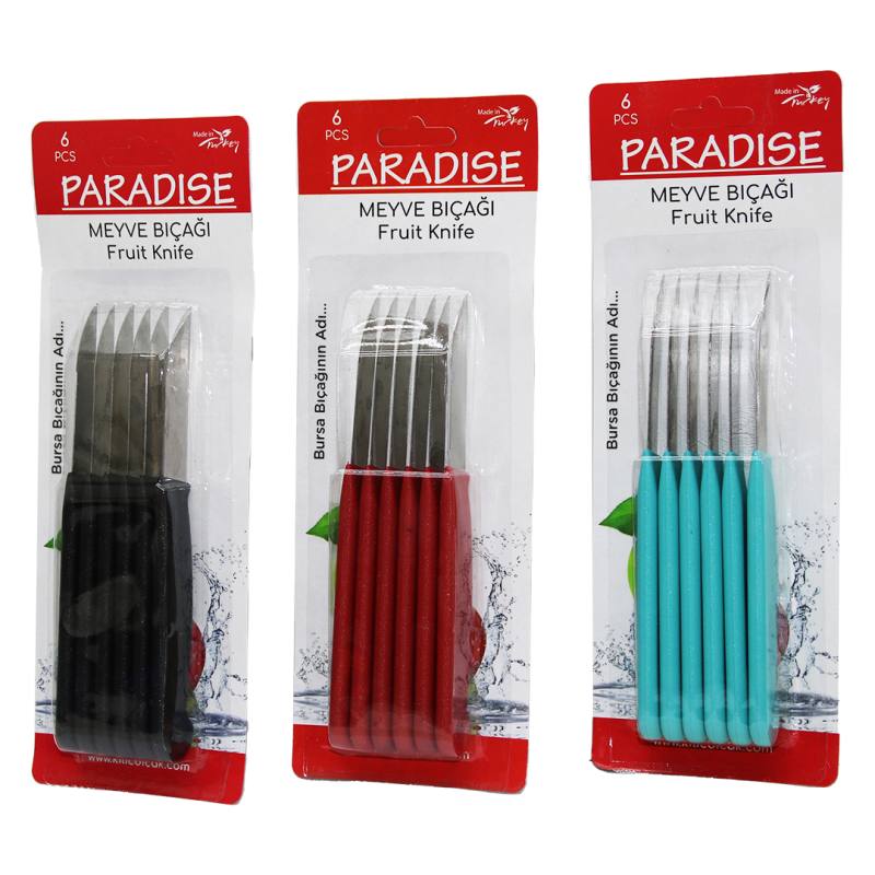 6 Parça Meyve Bıçak Renkli Plastik Saplı