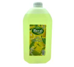 Hayat 5LT Limon Kolonya Bidon