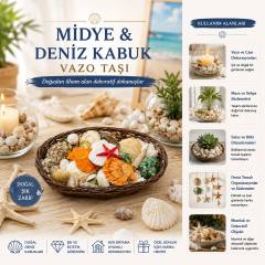 Oval Ahşap Sepet Renkli Mix Midye - Deniz Kabuk Vazo Taşı