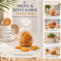 Poşetli Renkli Mix Midye - Deniz Kabuk Vazo Taşı