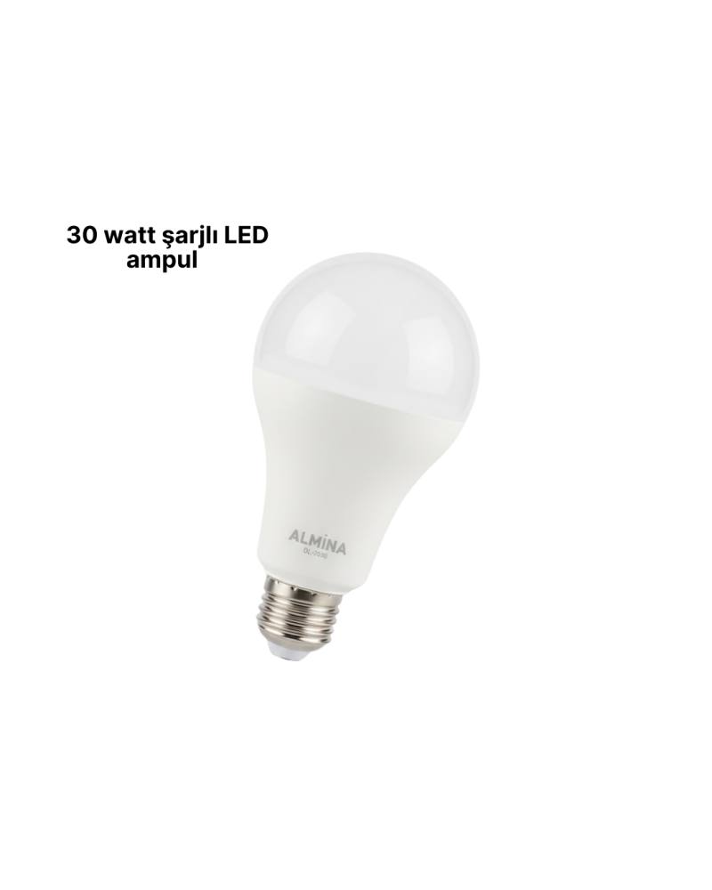 DL-2030 Şarjlı LED Ampul