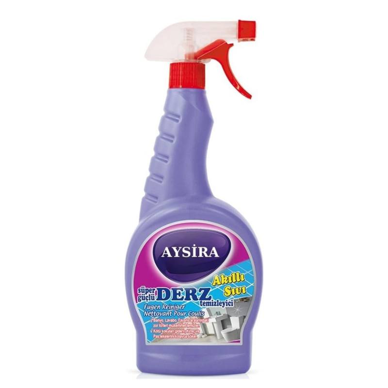 Derz Temizleyici 750 ml
